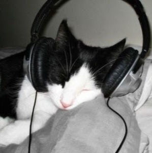 Meet your Posher, Lee !